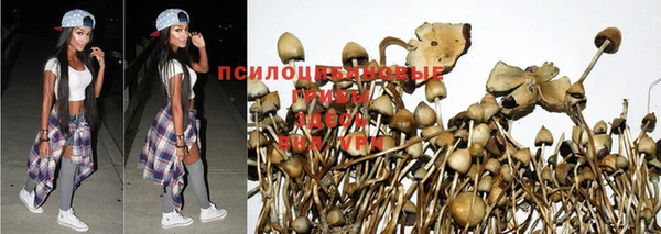 тгк Балабаново